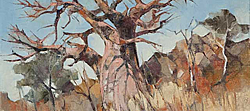 Baobab Study 4 - Mapungubwe National Park | 2011 | Oil on Canvas | 40 x 54 cm